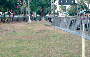 RENTA DE GRADAS METALICAS